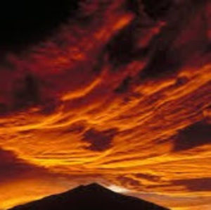 Meet your Posher, Luke